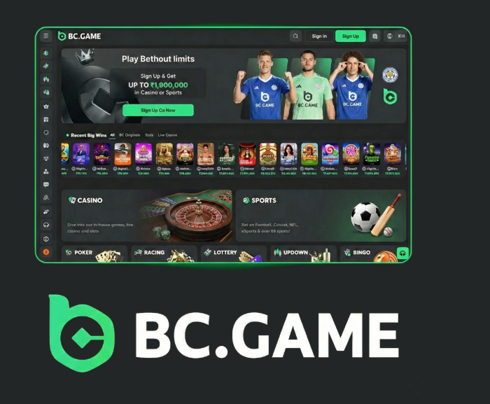Discover BC.CO Platform The Future of Gaming and Blockchain Integration